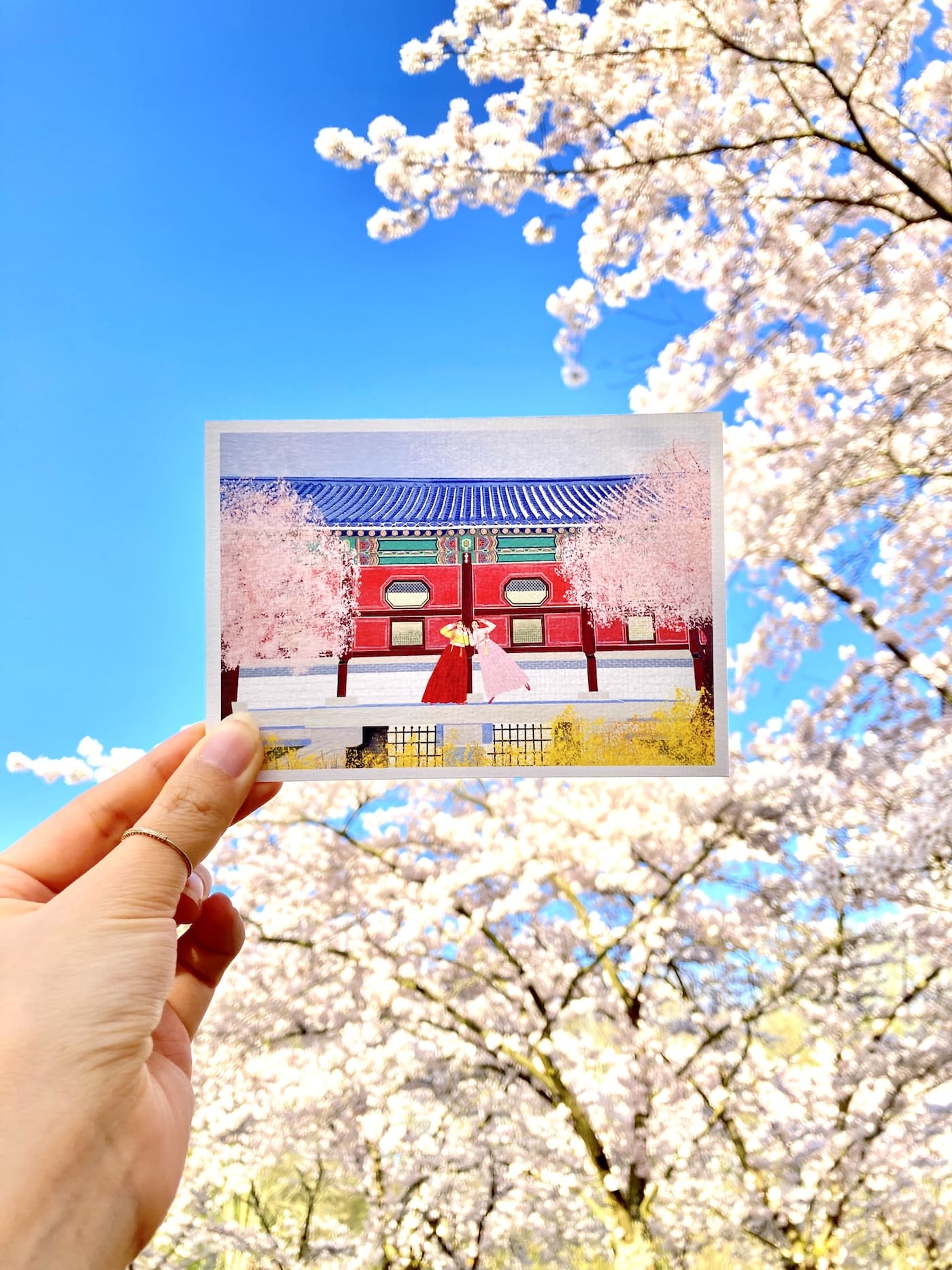Seoul sisters postcard at Cherry Blossom park